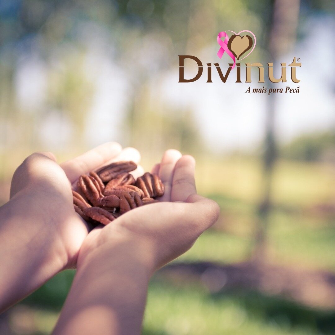 WhatsApp Image 2023-10-16 at 11.41.59